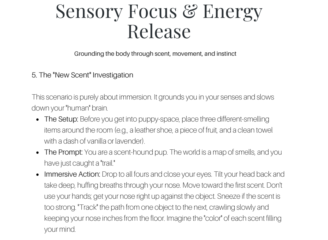 An example from The Solo Puppy Play Guide: “The New Scent Investigation,” a sensory exercise using scent, movement and instinct to explore pup headspace.